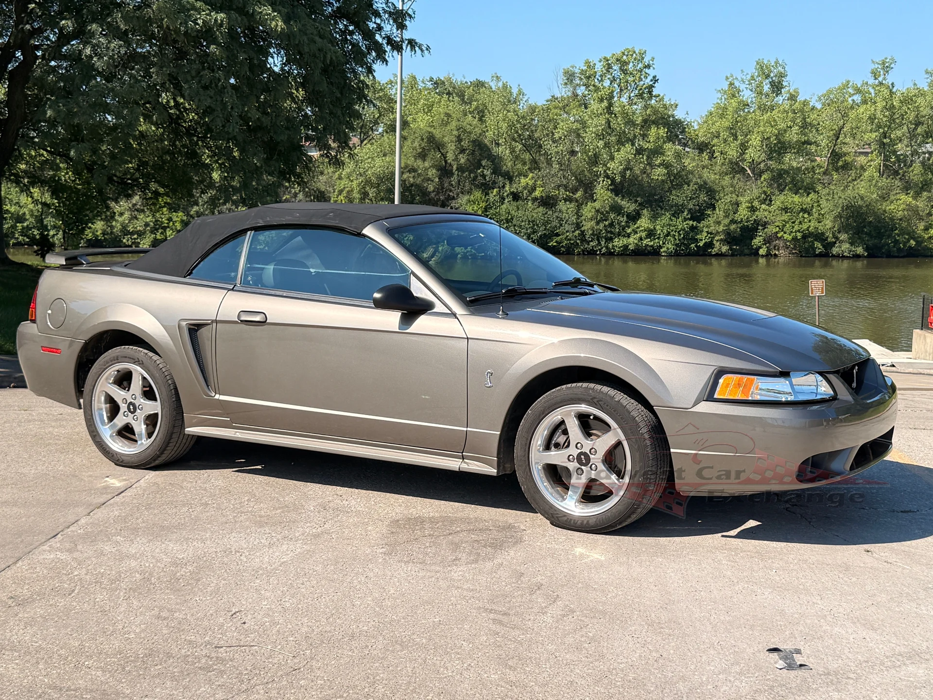 2001 Ford Mustang Cobra SVT - Photo 6