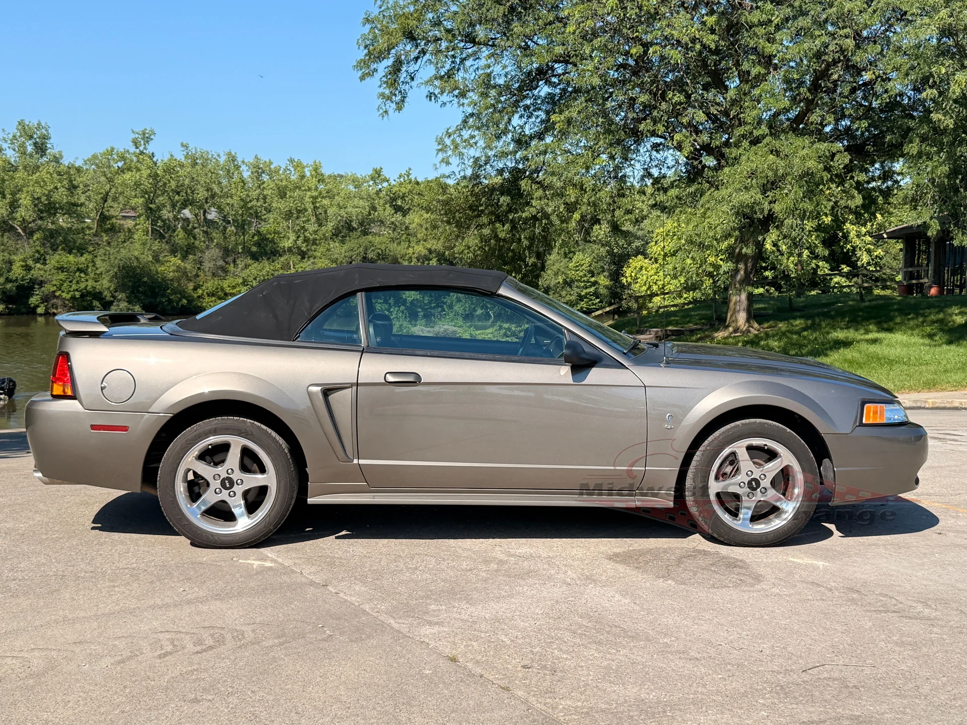 2001 Ford Mustang Cobra SVT - Photo 7