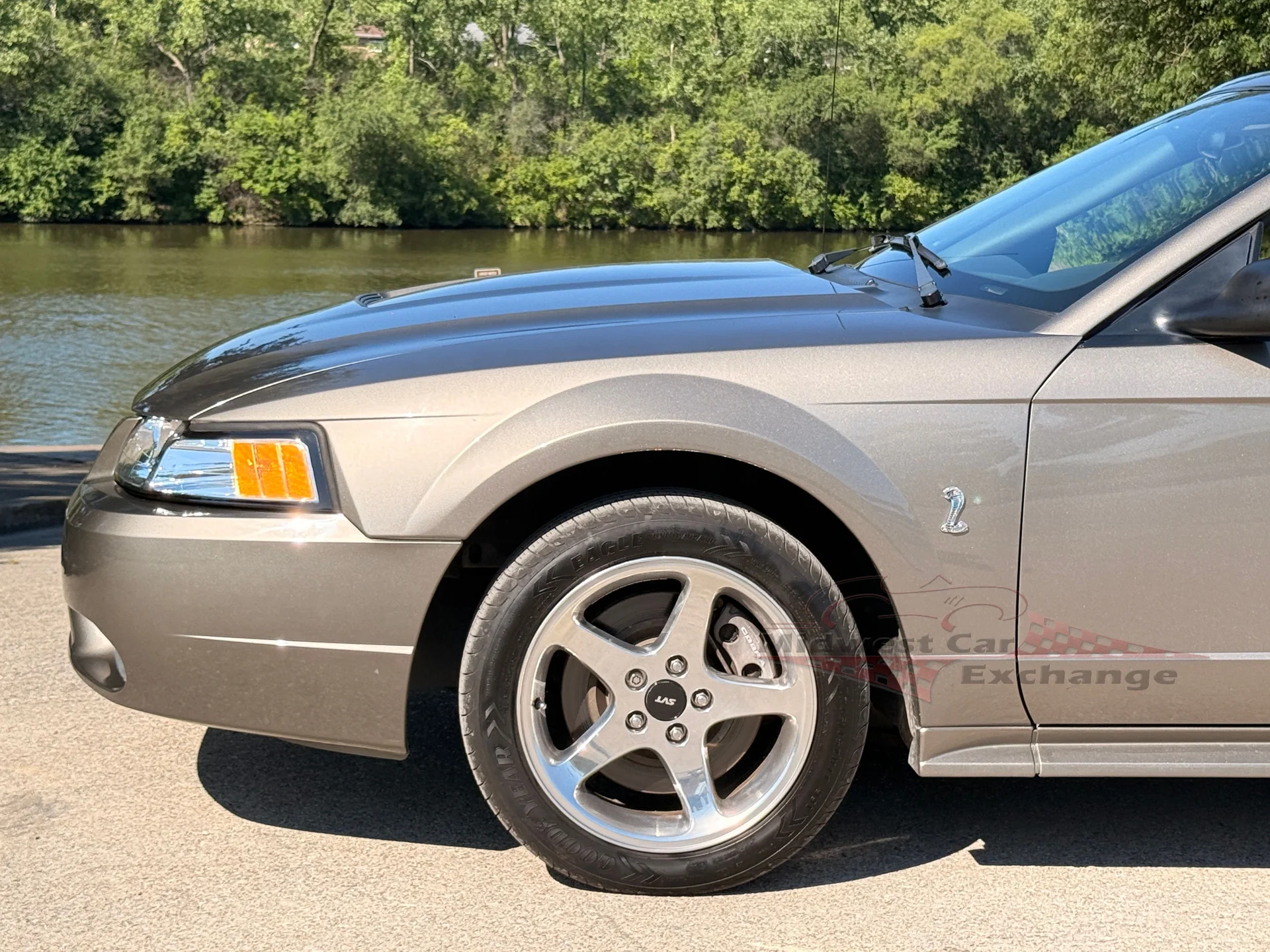 2001 Ford Mustang Cobra SVT - Photo 61