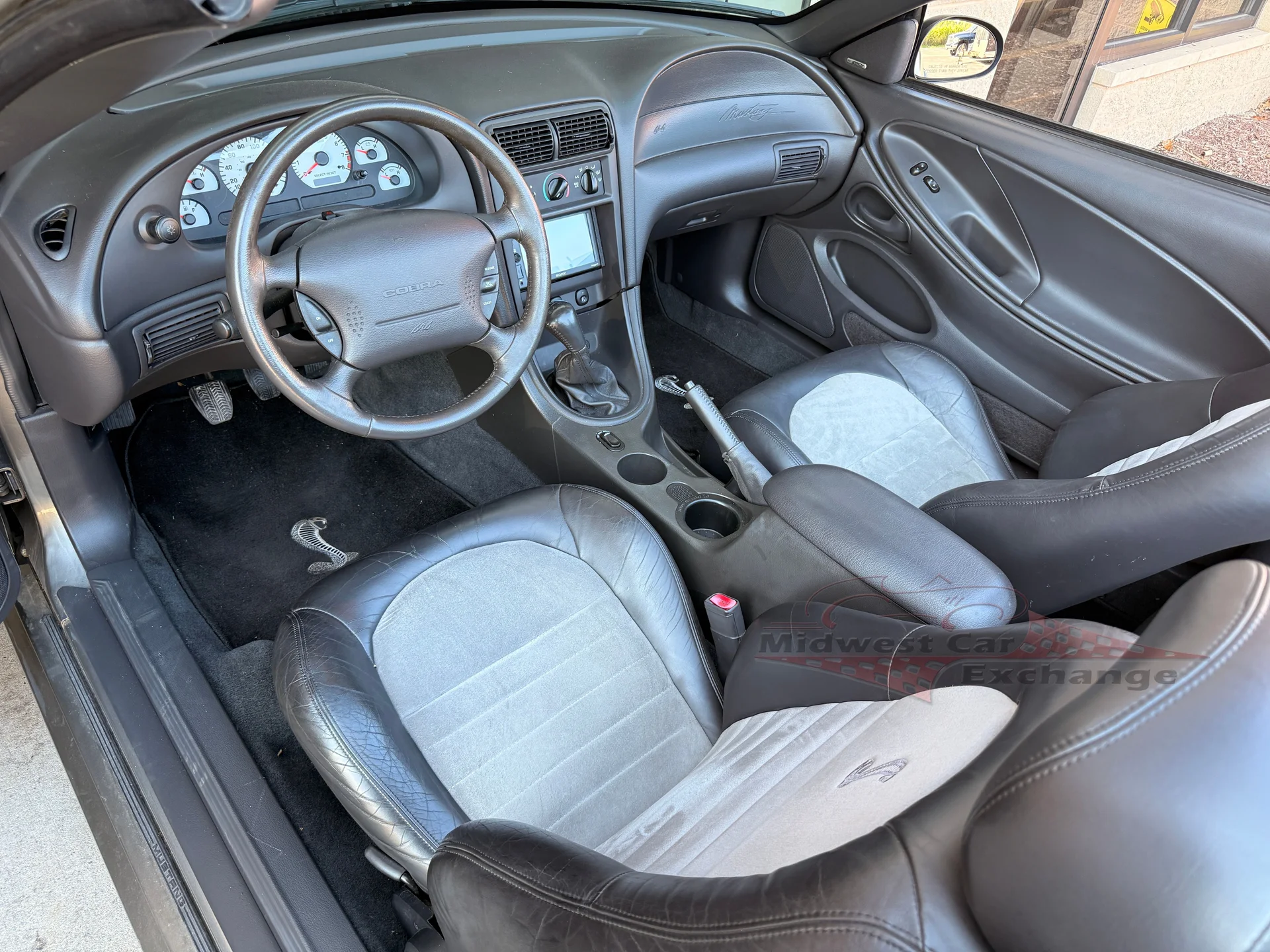 2001 Ford Mustang Cobra SVT - Photo 13