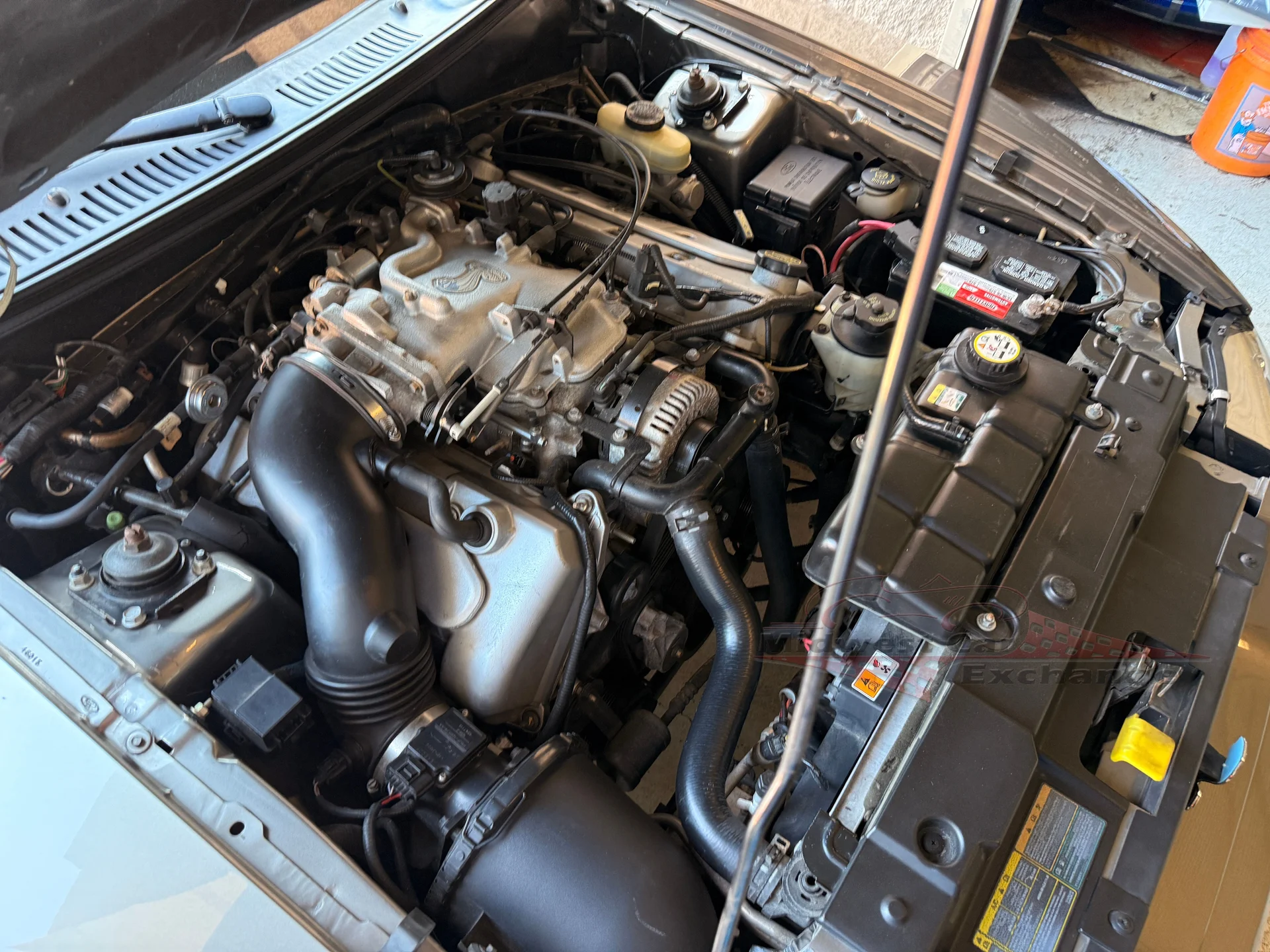2001 Ford Mustang Cobra SVT - Photo 20