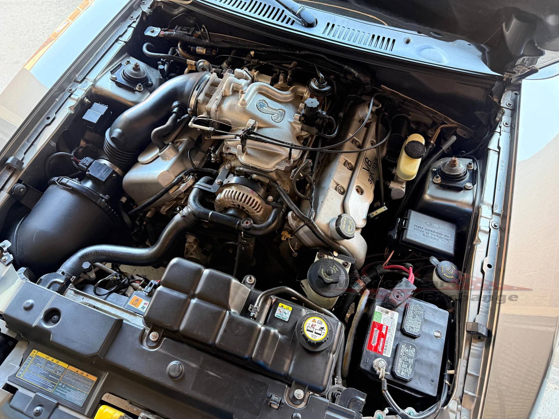 2001 Ford Mustang Cobra SVT - Photo 92