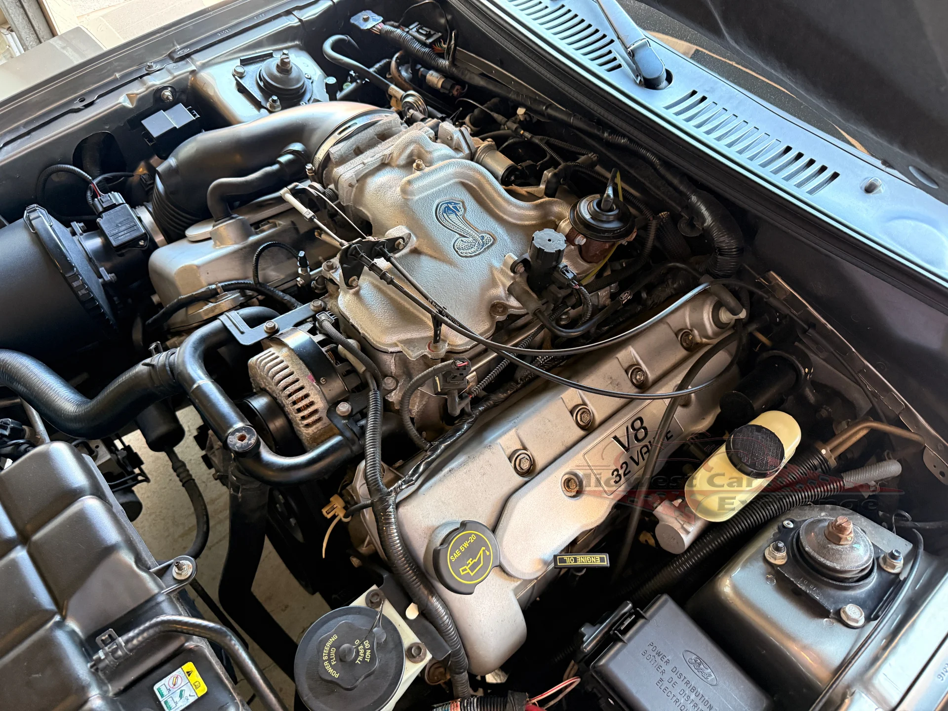 2001 Ford Mustang Cobra SVT - Photo 95