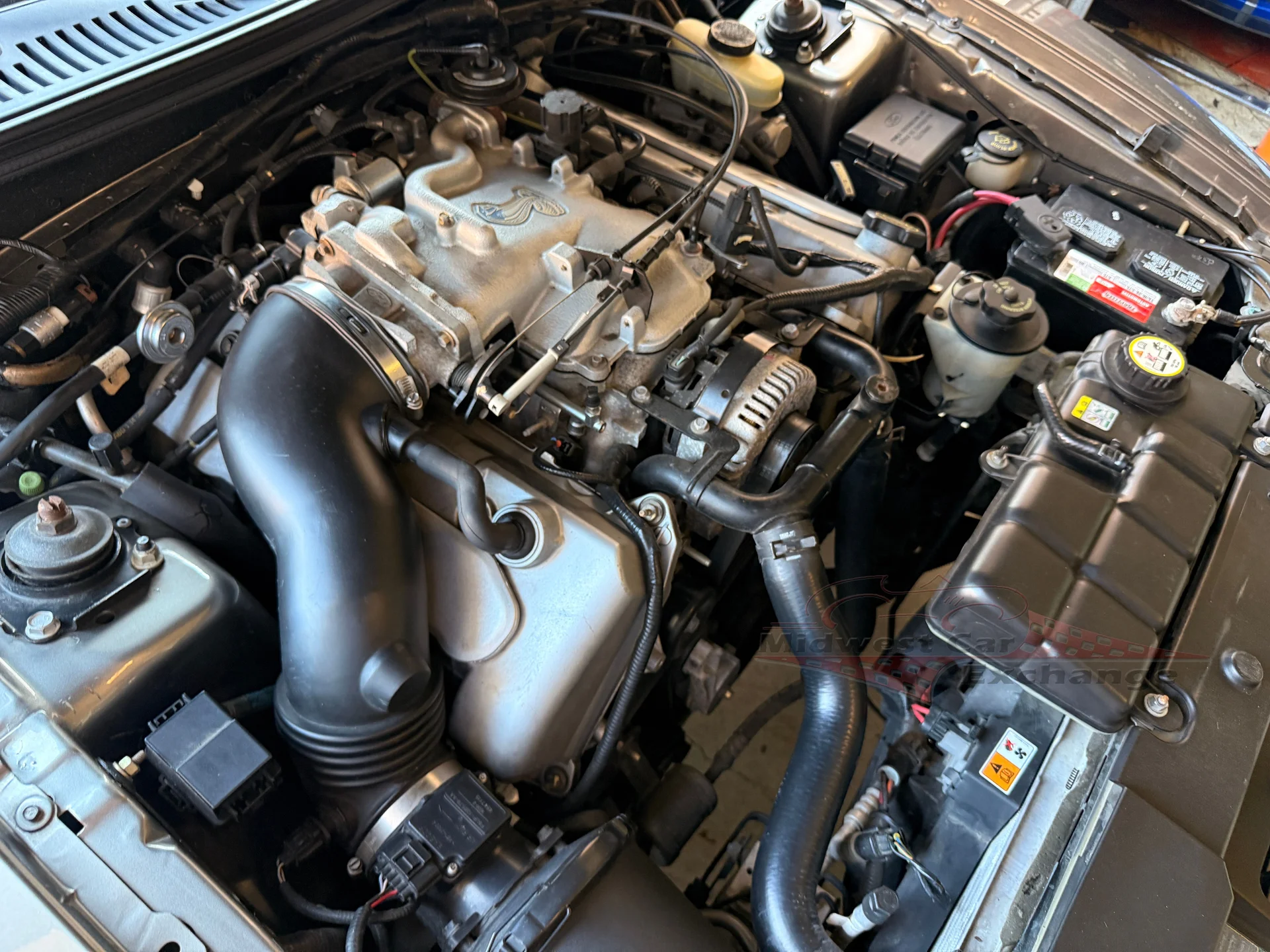 2001 Ford Mustang Cobra SVT - Photo 94