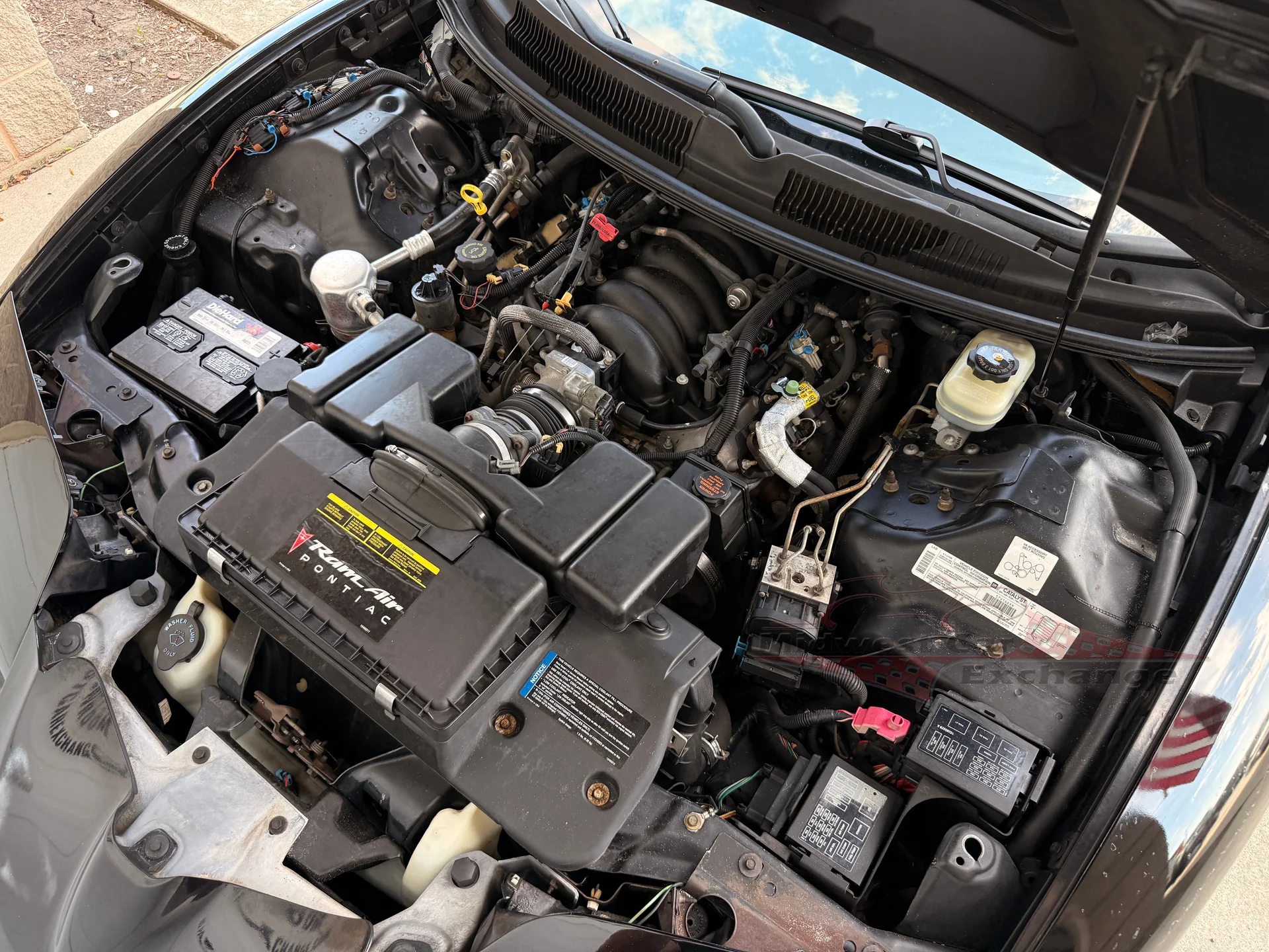 1999 Pontiac Firebird TRANS AM - Photo 85