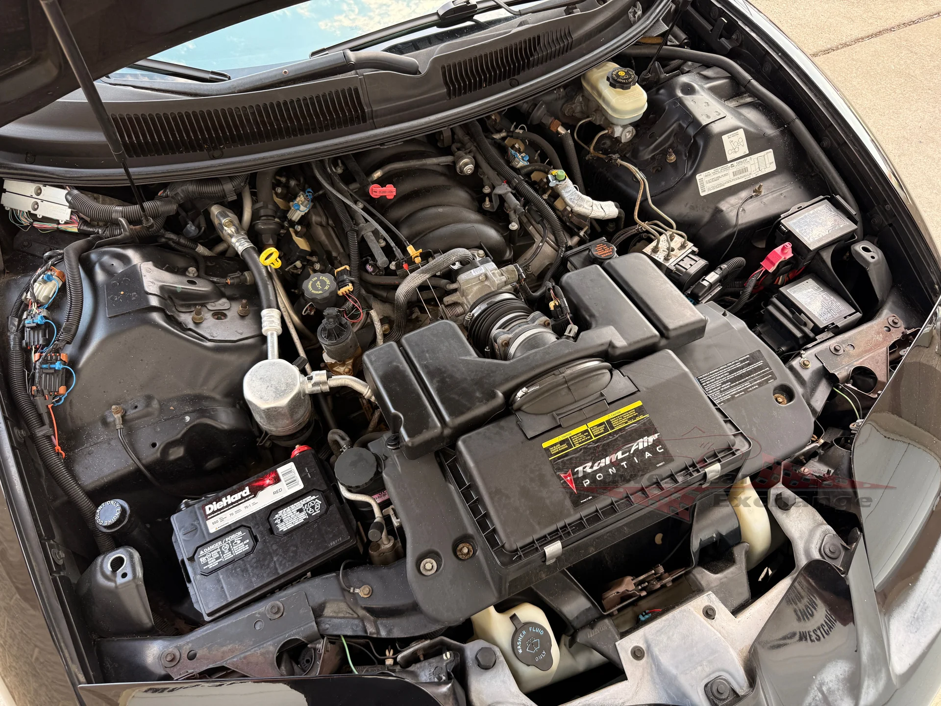 1999 Pontiac Firebird TRANS AM - Photo 6