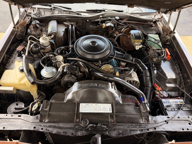 1981 oldsmobile delta 88