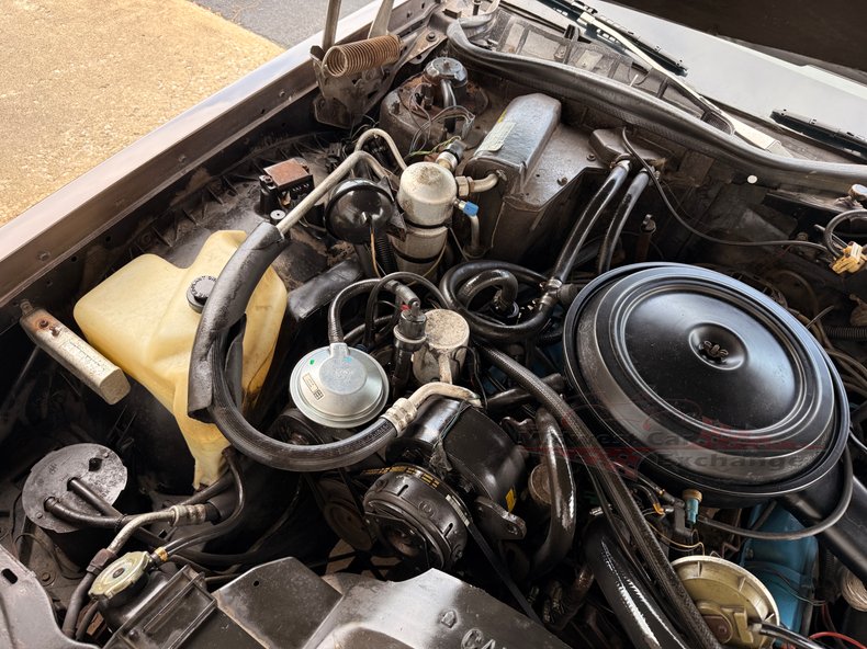 1981 oldsmobile delta 88