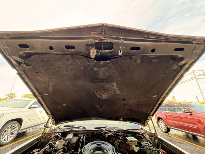 1981 oldsmobile delta 88