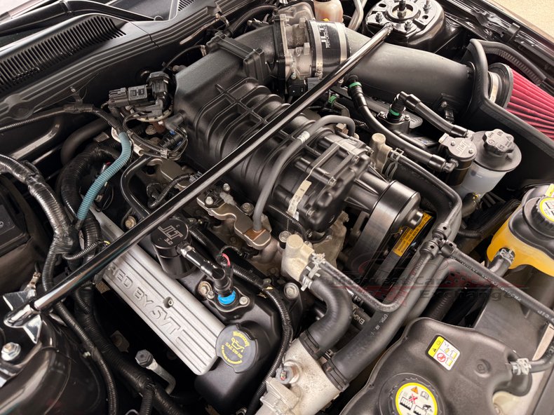 2009 ford mustang shelby gt500