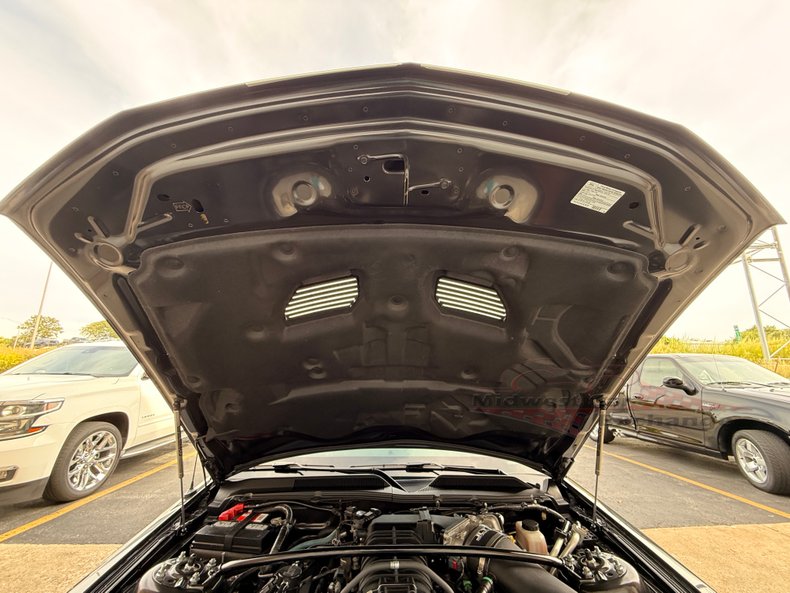 2009 ford mustang shelby gt500