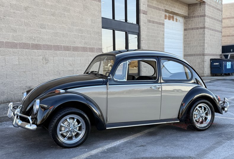 1966 volkswagen beetle