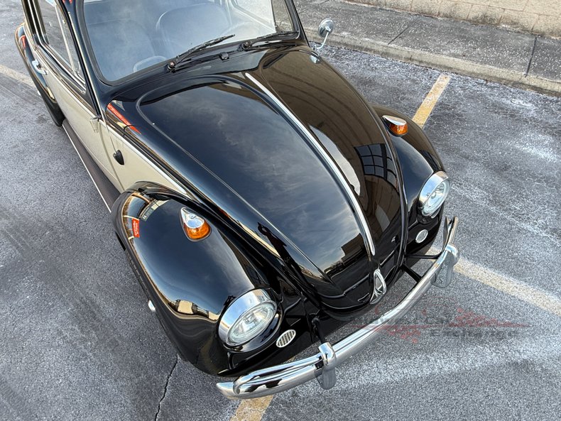 1966 volkswagen beetle