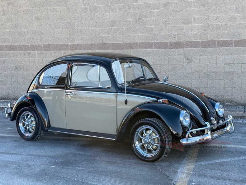 1966 volkswagen beetle