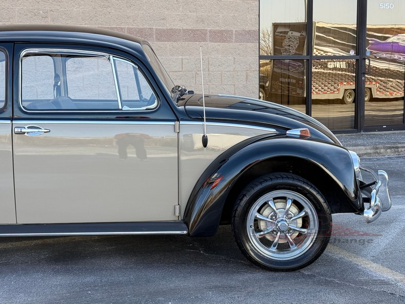 1966 volkswagen beetle