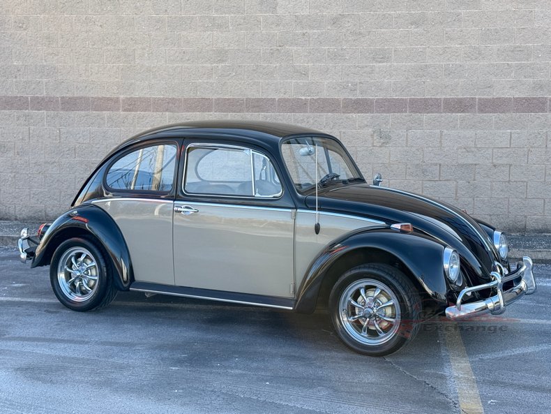 1966 volkswagen beetle