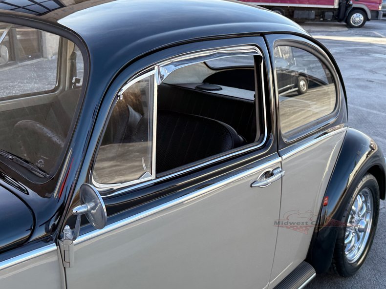 1966 volkswagen beetle