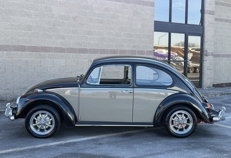 1966 volkswagen beetle