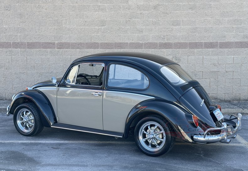 1966 volkswagen beetle