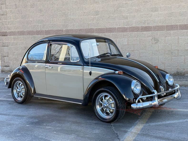 1966 volkswagen beetle
