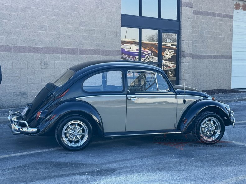 1966 volkswagen beetle