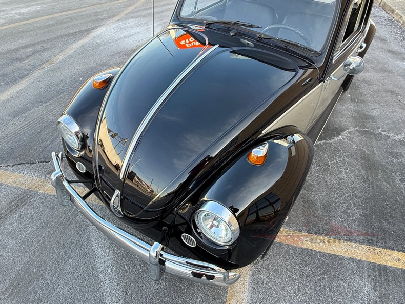 1966 volkswagen beetle