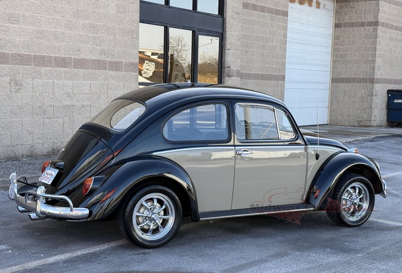 1966 volkswagen beetle