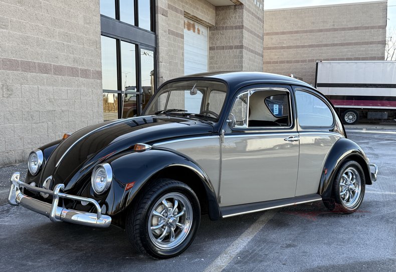 1966 volkswagen beetle