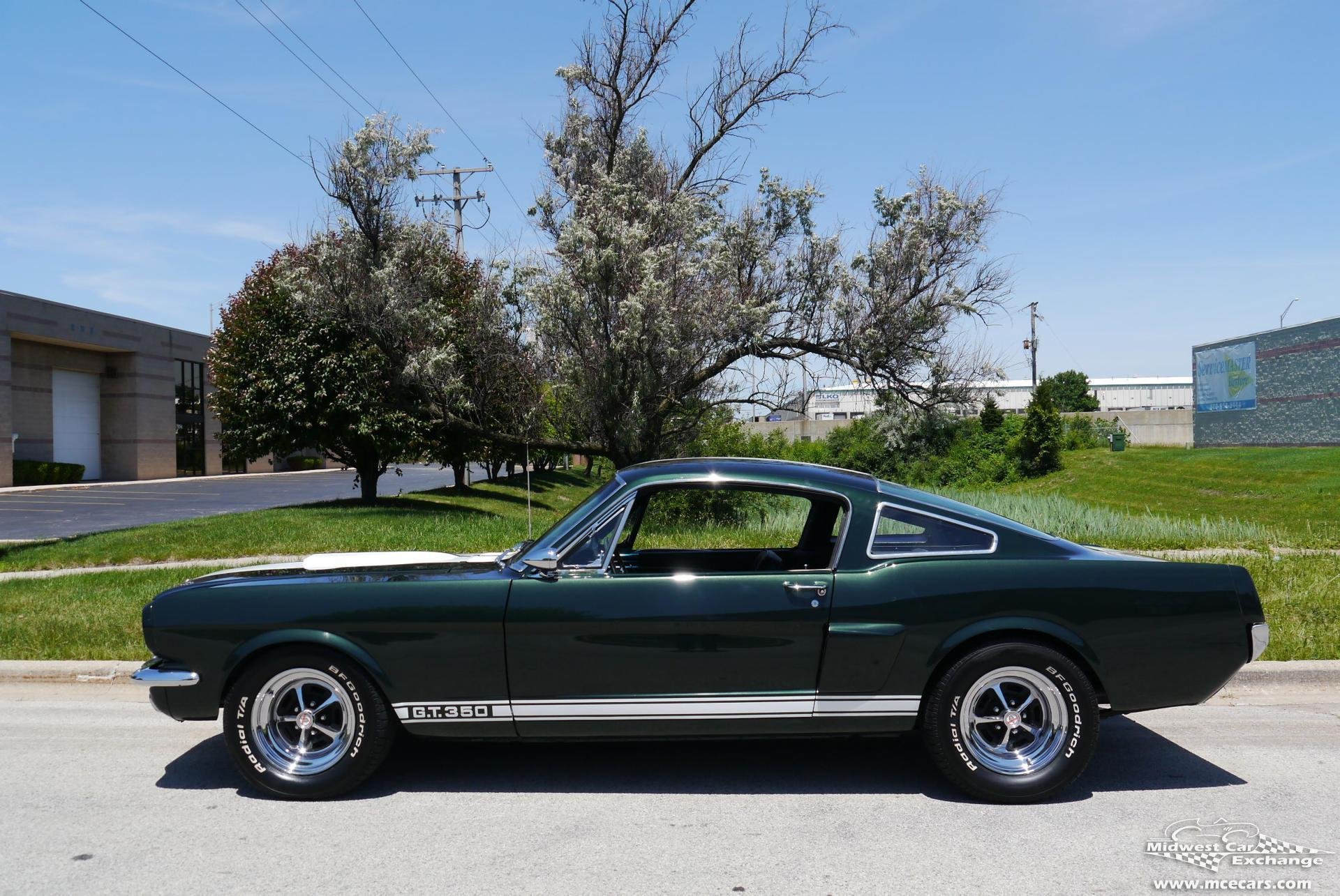 1965 ford mustang fastback w shelby gt350 appointments