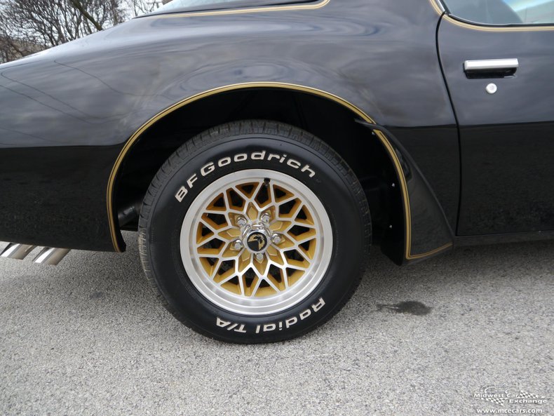 1979 pontiac trans am y84 special edition