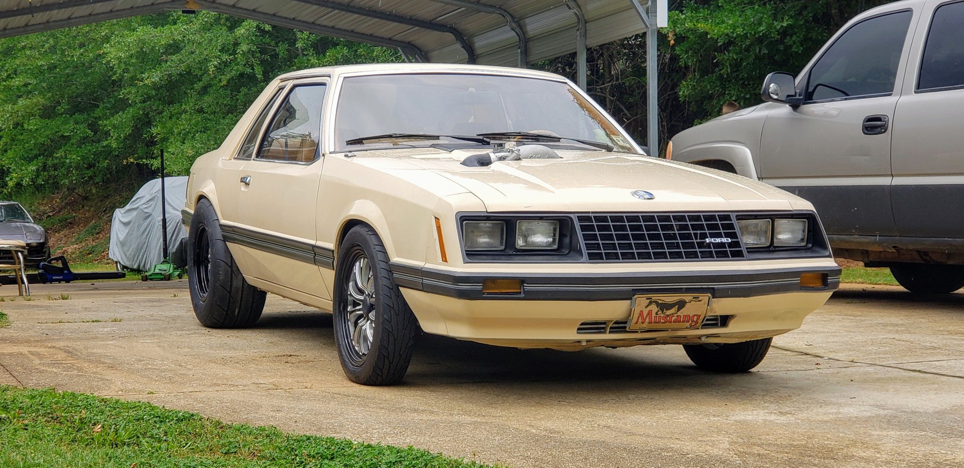 1981 ford mustang