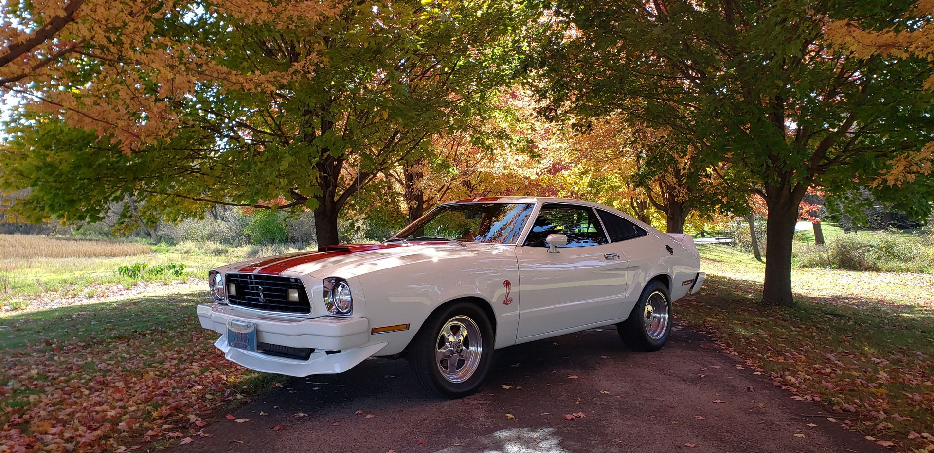 1977 ford mustang ii