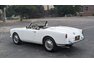 1960 Alfa Romeo Spider