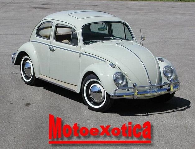 1964 volkswagen beetle 1964 volkswagen beetle