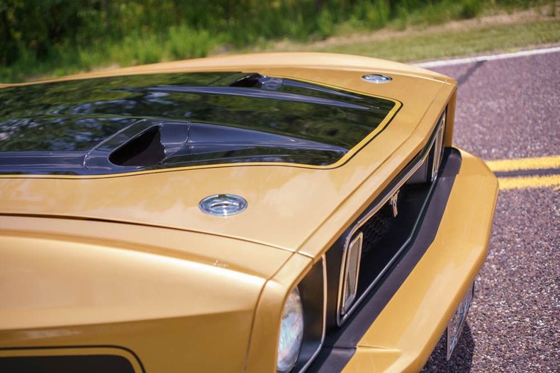 1973 Ford Mustang Convertible 100