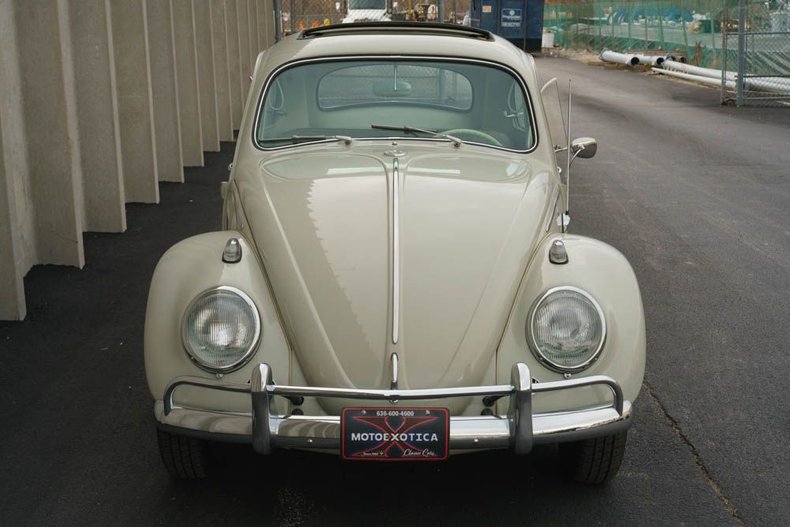 1964 Volkswagen Beetle 8