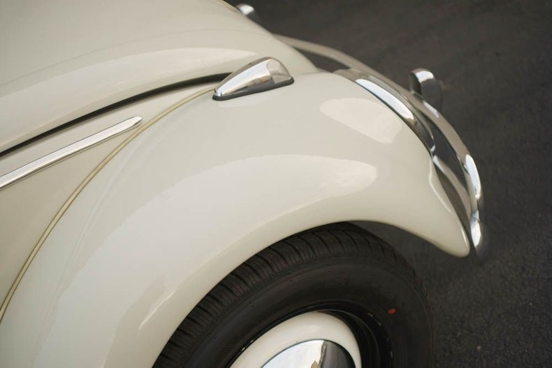 1964 Volkswagen Beetle 48
