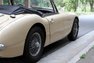 1965 Austin-Healey 3000