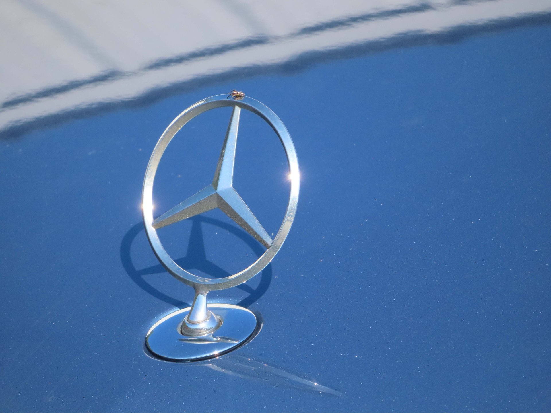 For Sale 2010 Mercedes-Benz C-Class