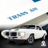 For Sale 1969 Pontiac Firebird Trans Am