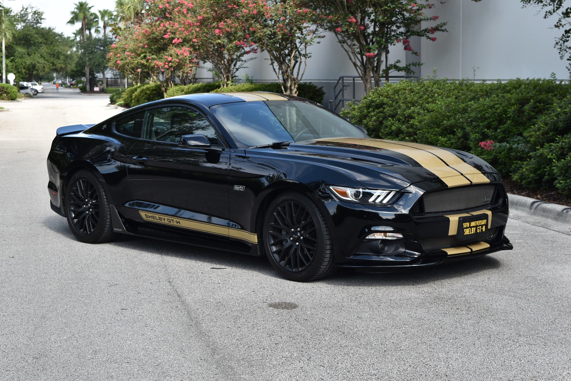 2016 Ford Shelby GTH
