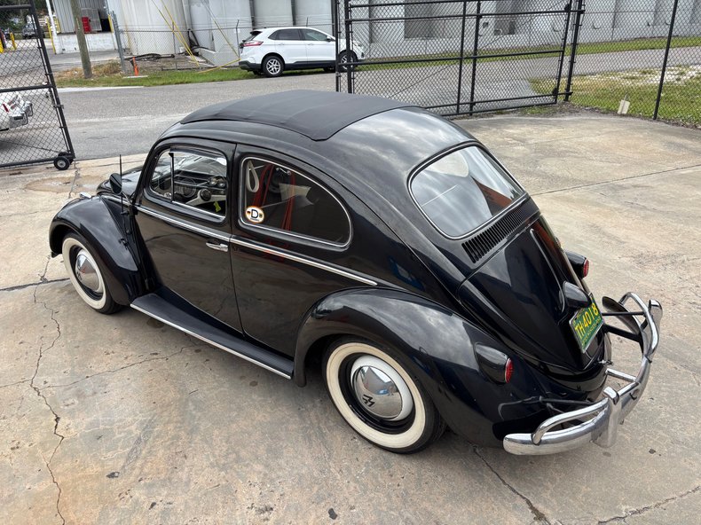 1959 Volkswagen Beetle | Orlando Classic Cars