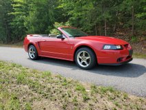 For Sale 1999 Ford Mustang Cobra
