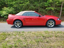 For Sale 1999 Ford Mustang Cobra