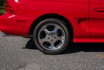 For Sale 1994 Ford Mustang Cobra