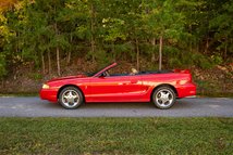 For Sale 1994 Ford Mustang Cobra