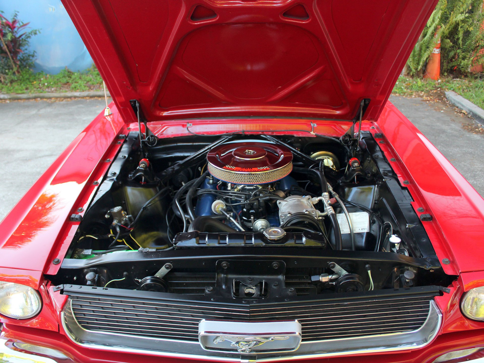 For Sale 1966 Ford Mustang