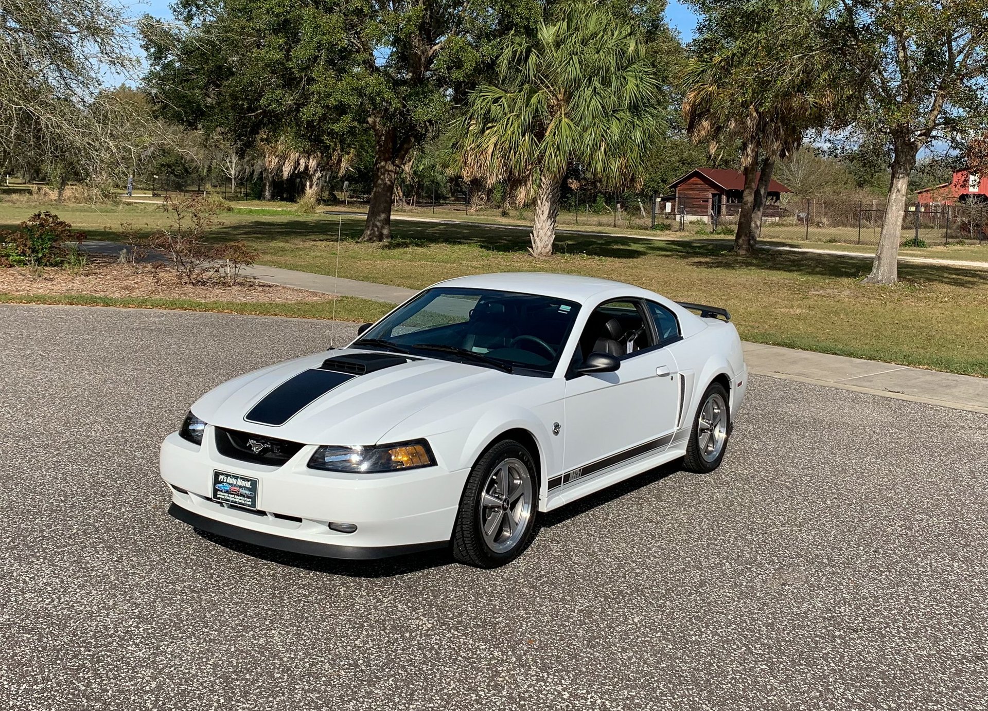 2004 ford mustang mach 1
