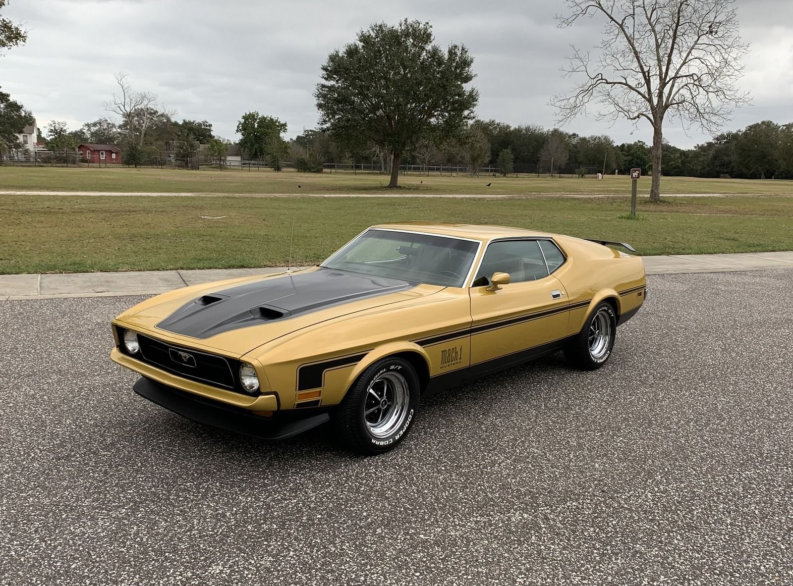1972 ford mustang fastback mach 1 tribute