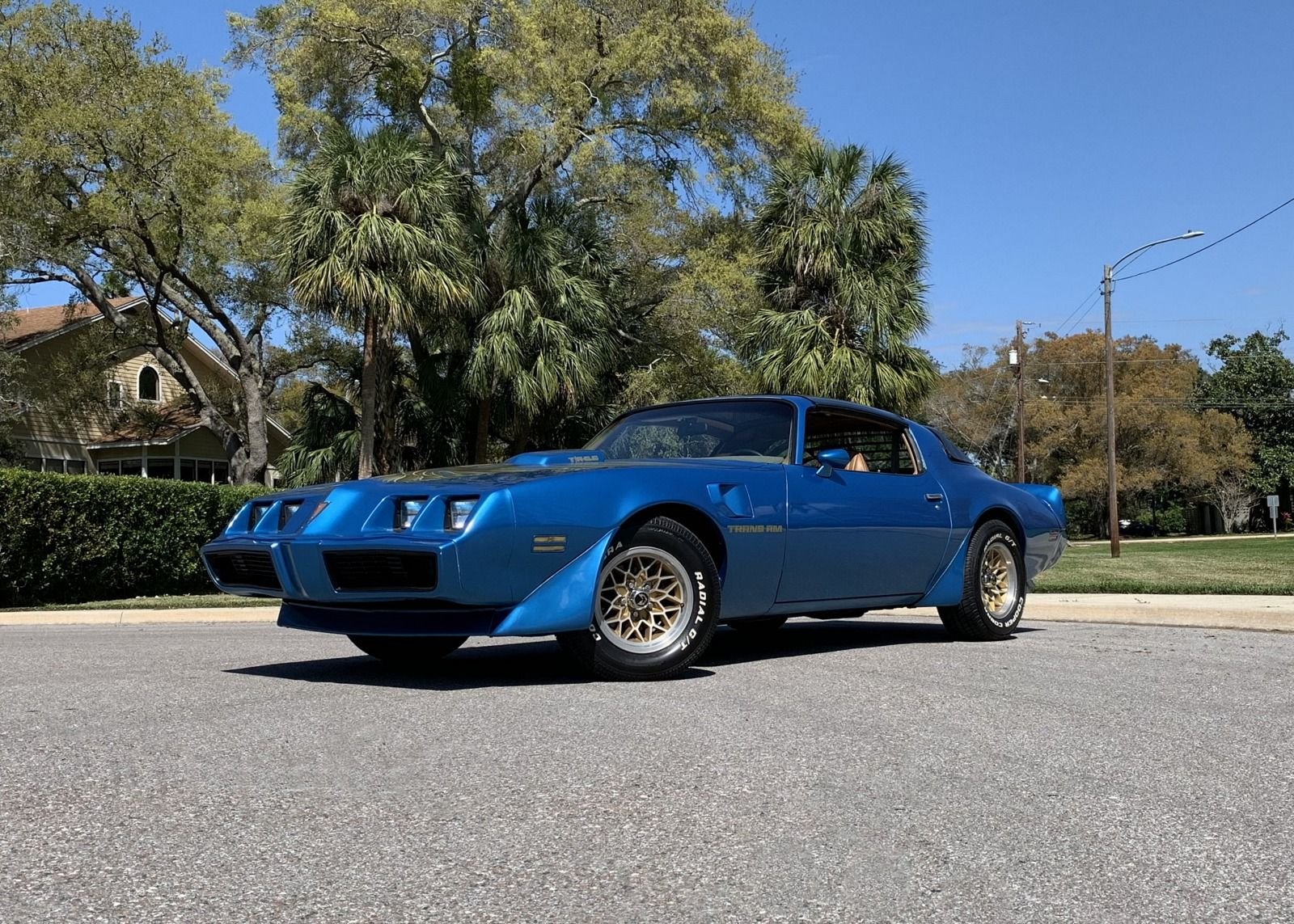 1979 Pontiac Trans Am | PJ's Auto World Classic Cars for Sale